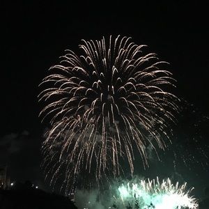 Meet your Posher, Elodie